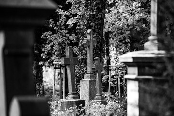 groby na cmentarzu