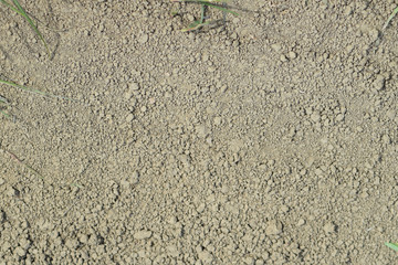 The soil on a dirt road