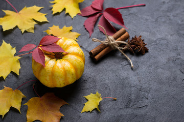 Pumpkin, cinnamon, star anise. Ingredients for making autumn pumpkin drink on a dark background with colorful leaves. Place for text