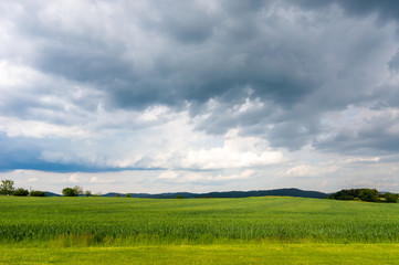 Fototapeta na wymiar Dark stormy sky over green grass field