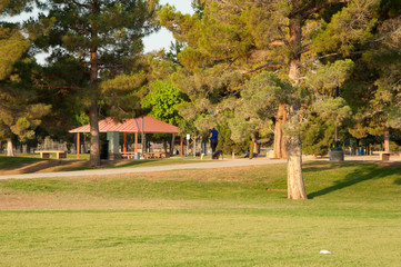 Sunset Regional Park, Las Vegas, NV.
