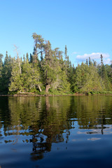 Obraz premium reflection of trees in lake