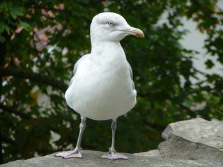 Dänemark
