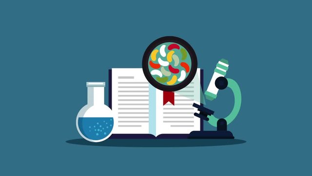 education learning with book animation