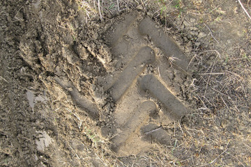 The traces left by the wheels of the tractor tread