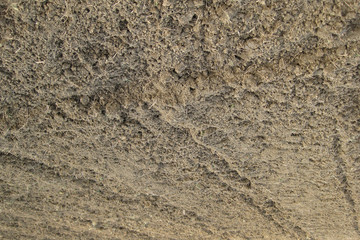 Disc harrow plow the garden