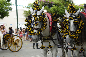 horse carriage concurso de enganches de carruajes de coches de caballos feria de malaga 2019