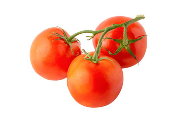 branch of tomatoes isolated on a white background, full depth of field, no shadow, poison for design