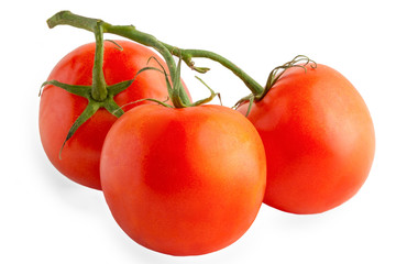 branch of tomatoes isolated on a white background, full depth of field, no shadow, poison for design