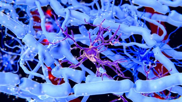 Microglia cells in the brain, animation