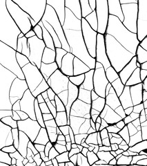Obraz premium Abstract black and white texture