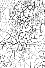 Abstract black and white texture