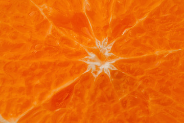 citrus orange texture, closeup for design