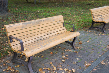秋の公園のベンチ