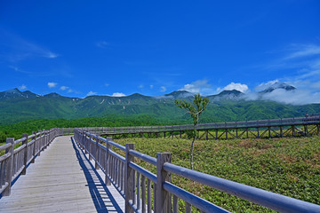 Fototapeta na wymiar 木製遊歩道から見た知床五湖の情景＠知床、北海道
