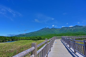 Fototapeta na wymiar 木製遊歩道から見た知床五湖の情景＠知床、北海道