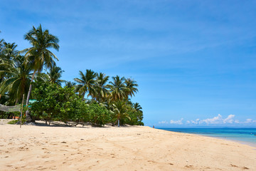 Beach at Tropical Island, Siargao Island Landscape