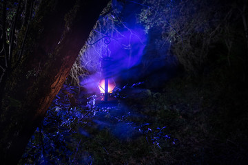 Naklejka premium Horror Halloween concept. Burning old oil lamp in forest at night. Night scenery of a nightmare scene.