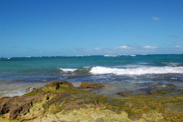 Fototapeta na wymiar Ocean Wave Reef
