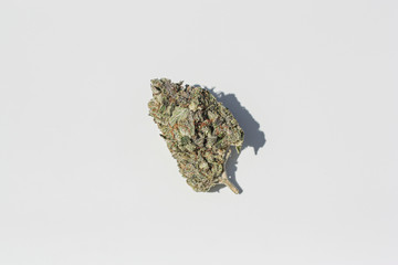 True OG Strain - Marijuana Bud Isolated - Cannabis - Herbal