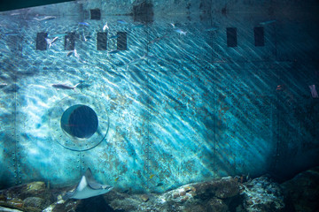 Shipwreck in the deep sea
