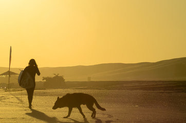 Silhouettes of woman surfer and dog walking on the beach