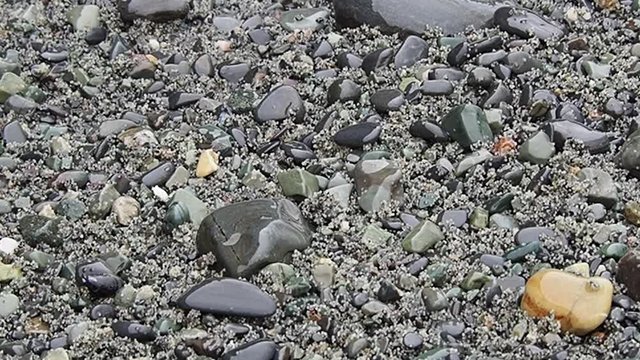 Tors, Cove, beach, caplin, eggs, row, nature, summer, Newfoundland and Labrador, tourism, tourist, travel, ecotourism, fish, life, Atlantic Ocean, Canada, spawning, reproduction, science, biology, fis