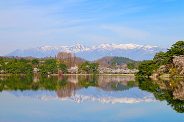 春の南湖公園（福島県・白河市）