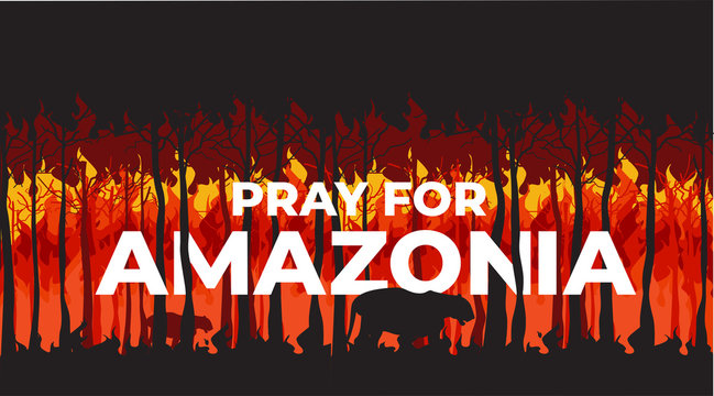 Pray For Amazonia Forest Fire Burning Disaster in Brazil Vector Illustration