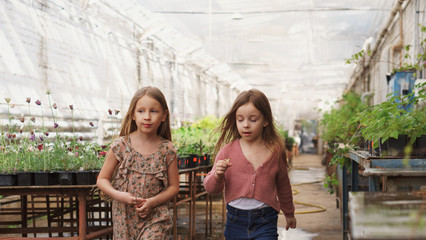 Fototapeta premium Young schoolgirls best friends on excursion in the greenhouse. Campaigns and adventures. Happy childhood, lifestyle concept. Portrait of joyful little sisters in botanical garden