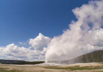 The world famous Old Faithful Geyser erupts in Yellowstone National Park on a beautiful, sunny summer day with a sky full of gorgeous clouds