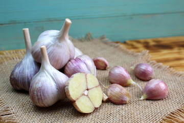 Fresh garlic crop lies on burlap fabric