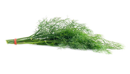 Green dill isolated on white background