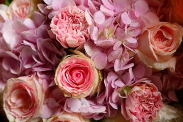 Roses are red my love