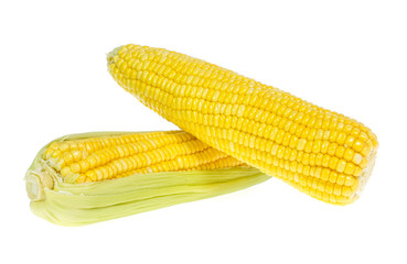 An ear of corn isolated on a white background