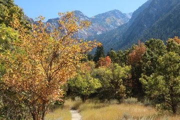 September Fall colors in the Wasatch Mountains at Bells Canyon