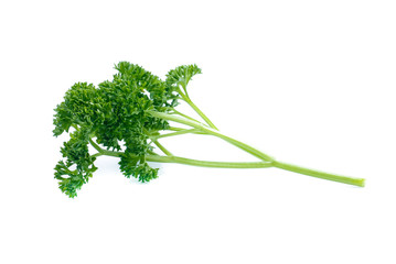 parsley isolated on white background