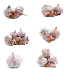 Garlic set isolated on white background