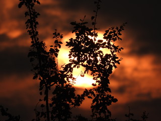 Amanecer 