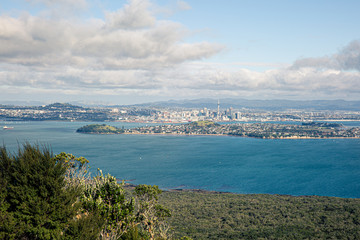 Fototapeta na wymiar View from Rangitoto Island summit to Auckland's cityline.