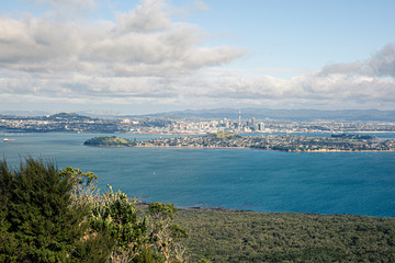 Fototapeta premium View from Rangitoto Island summit to Auckland's cityline.