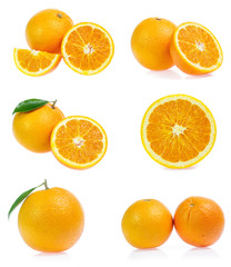 Set of orange isolated on white background