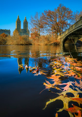 Bow Bridge in Central Park, New York in fall with Manhattan buildings in background and fallen leaves in the foreground