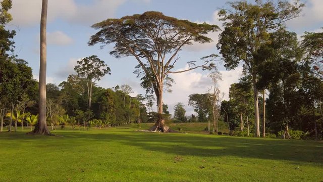 Golf de Kribi / Kribi golf