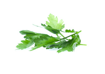 Parsley herb isolated on white background