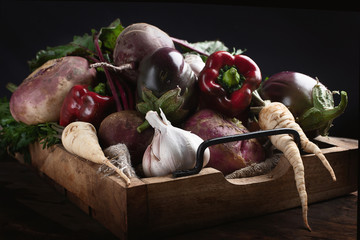 Fresh harvested vegetables.
