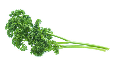 Parsley isolated on white background
