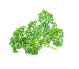 Obraz premium Parsley isolated on white background