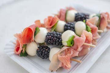 Appetizers italian antipasti snacks set