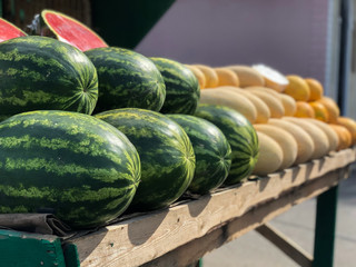 Counter with melons and watermelons. Sale of fruit vegetables and berries